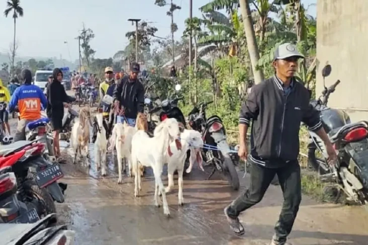 Erupsi Semeru, Hewan...