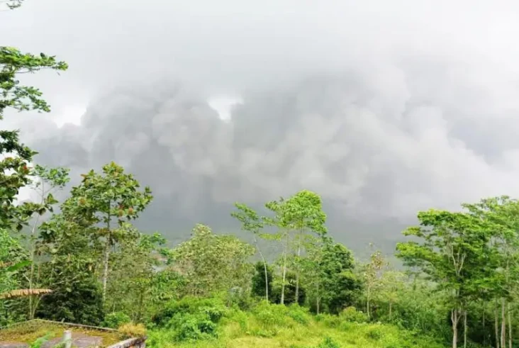 Dampak Erupsi Semeru,...