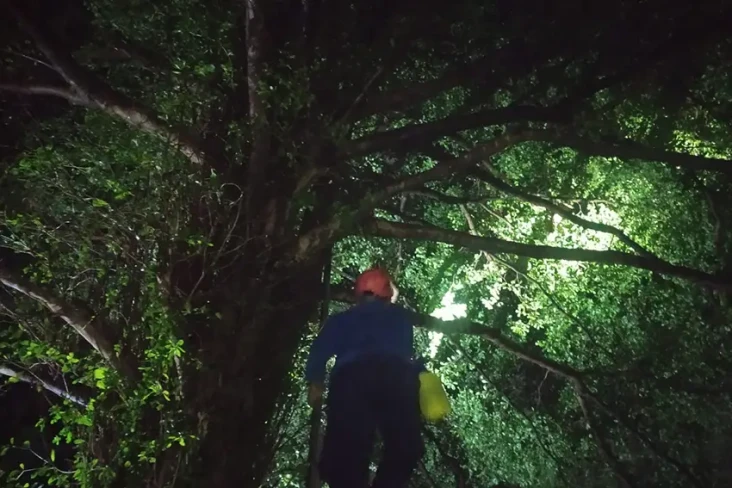 Tim Rescue Damkar Evakuasi...