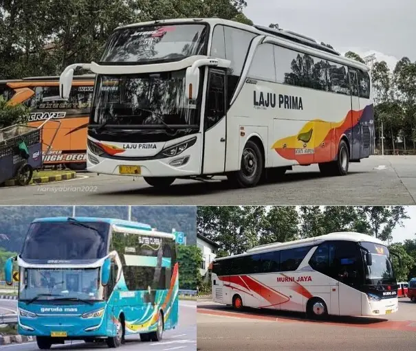 Ini 3 PO Bus yang Punya...