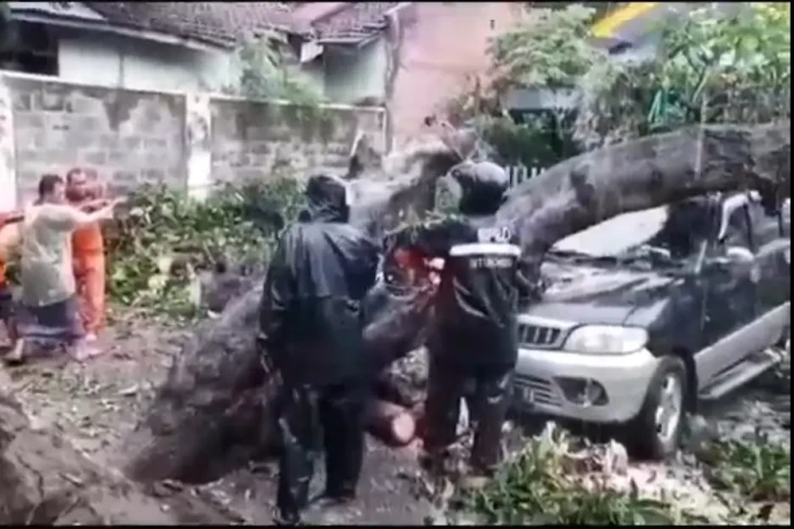 Diterjang Angin Kencang,...