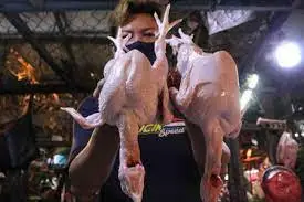 Harga Daging Ayam di...