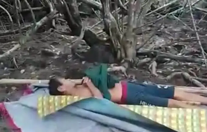 Tragis! Penebang Kayu...