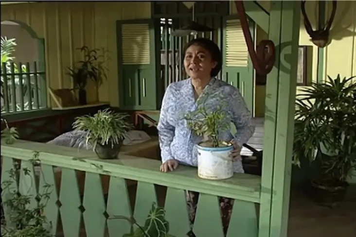 Aminah Cendrakasih Pemeran...
