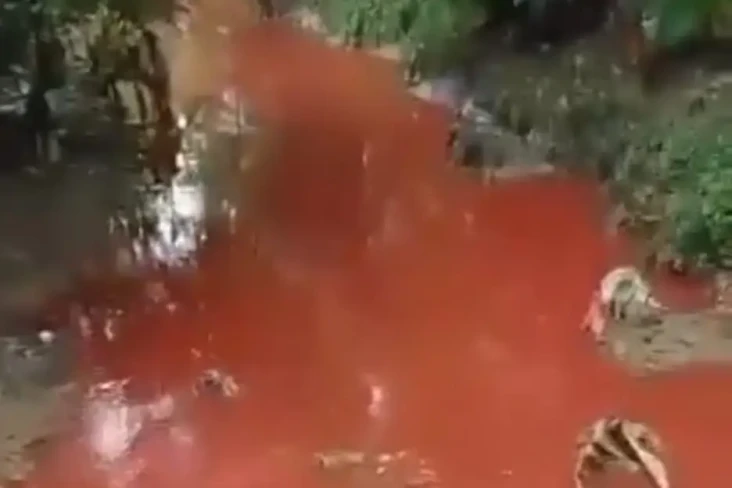 Heboh Air Kali di Cikarang...