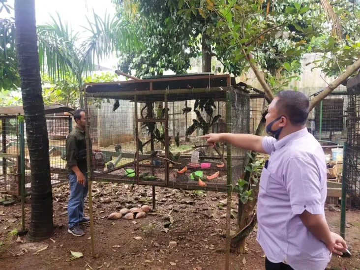 3 Penjual Satwa Dilindungi...