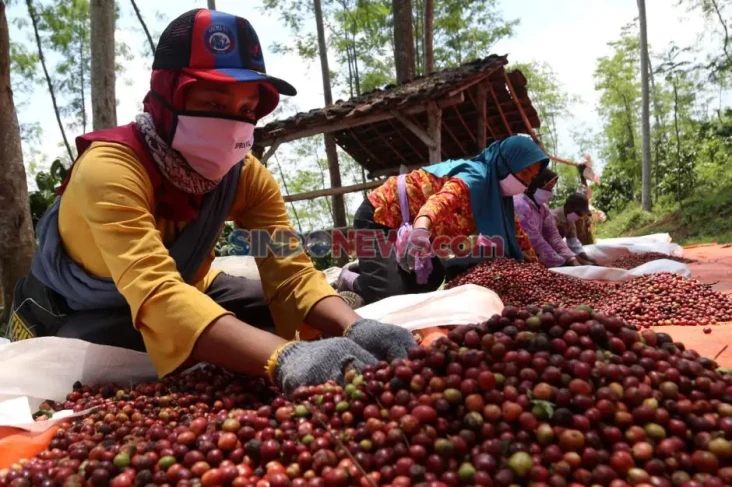 Program Upland Dorong...