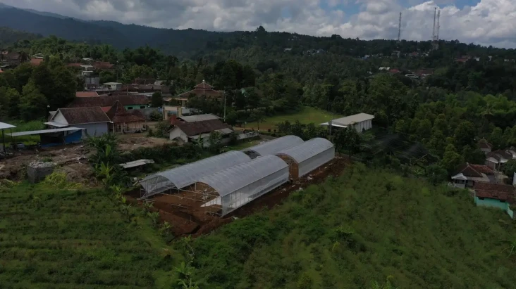 Petani di Nganjuk Kembangkan...