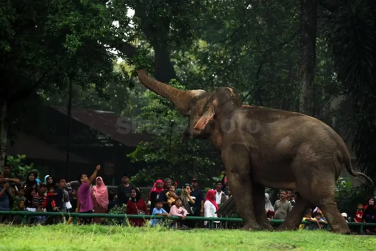 Hari Natal, 76.881 Pengunjung...
