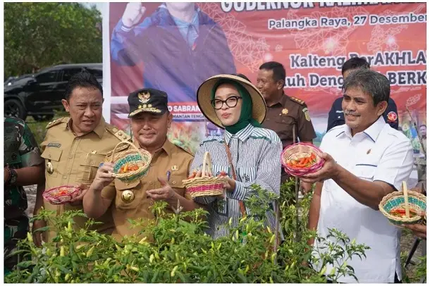 Panen Perdana Bawang...