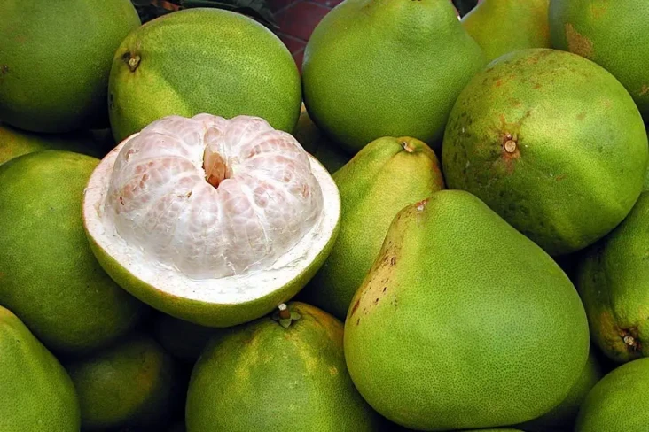 7 Manfaat Jeruk Bali...