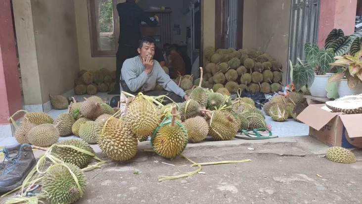 Musim Durian di Palabuhanratu...