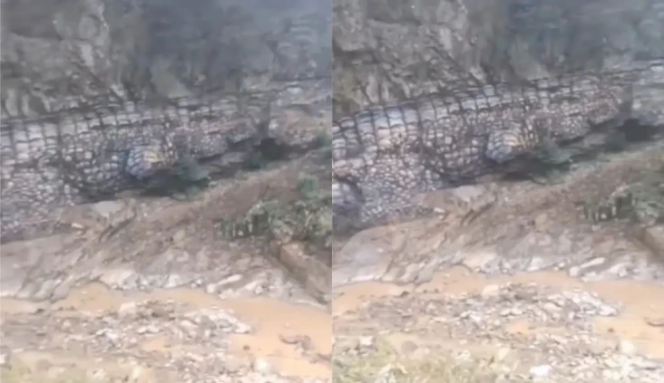 Batuan Berstruktur Buaya...