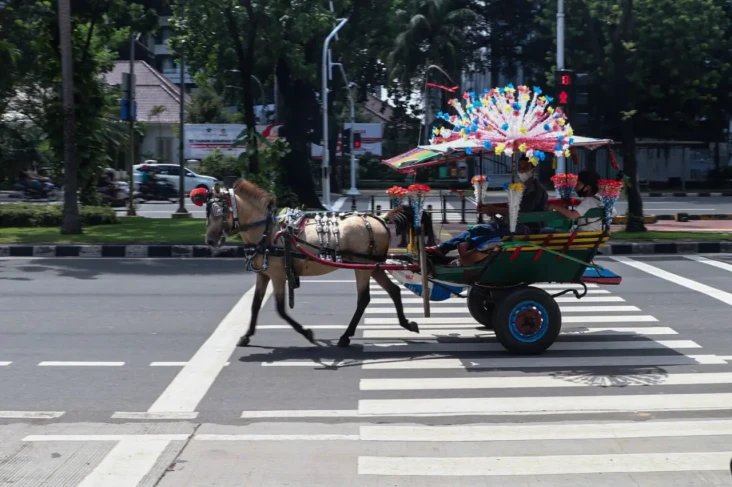 Bertemu Paguyuban Delman,...
