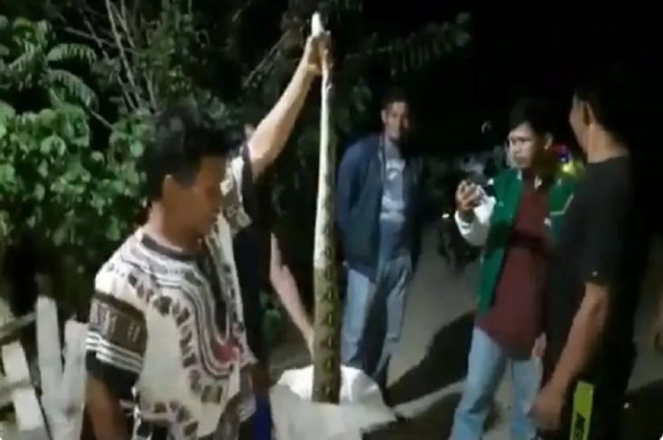 Masuk Permukiman, Ular...