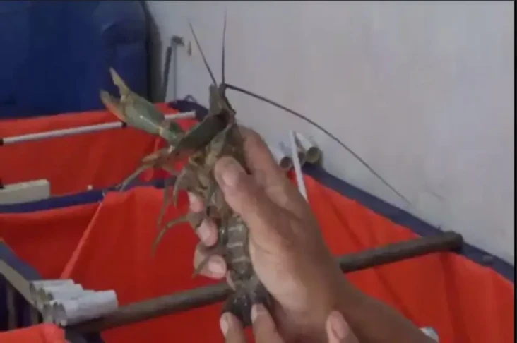 Sulap Ruang Tamu Jadi...