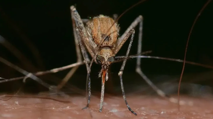 Virus Berpotensi Mematikan...
