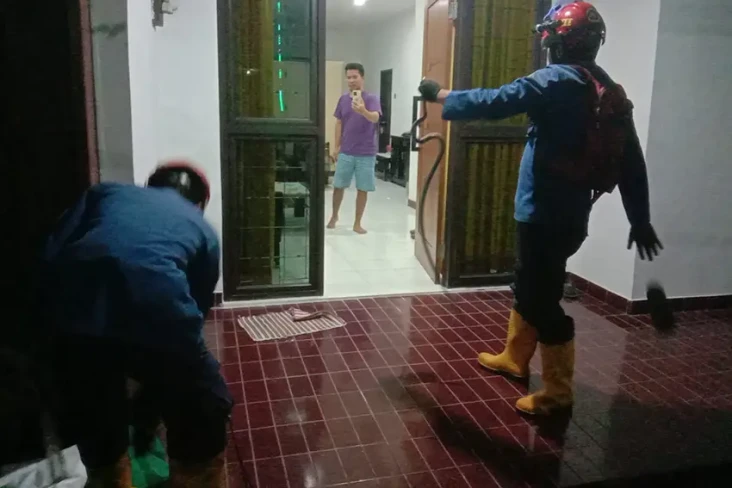 Ular Kopi 1 Meter Jatuh...