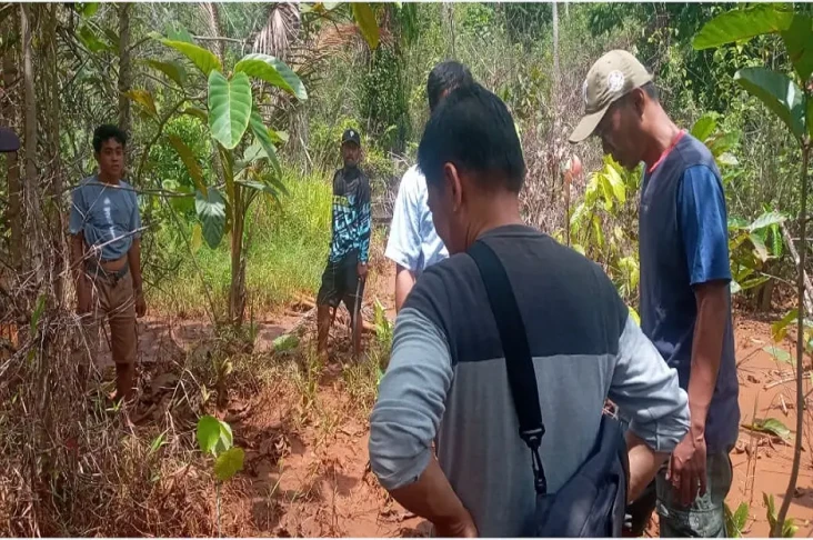20 Hektare Sawah Petani...