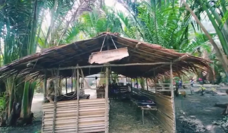 Mengintip Konsep Ungkea...