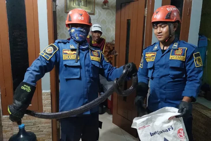 Dikira Suara Gas, Warga...