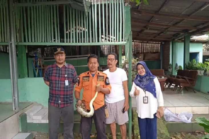 Masuk ke Pekarangan...
