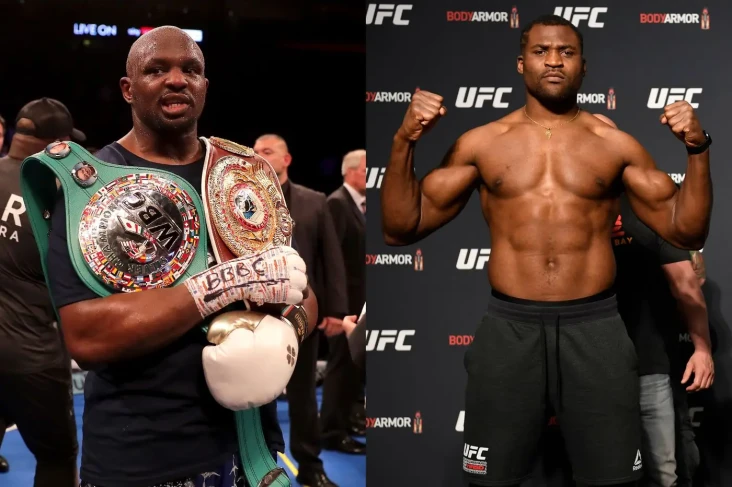 Cabut dari UFC, Francis...
