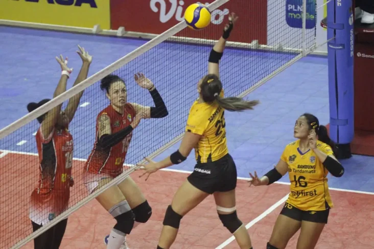 Hasil Proliga 2023:...
