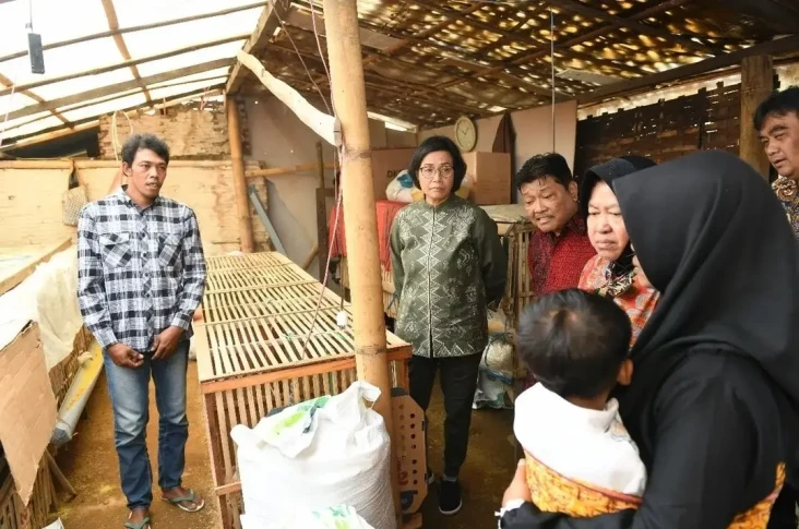 Pergi ke Kandang Ayam...
