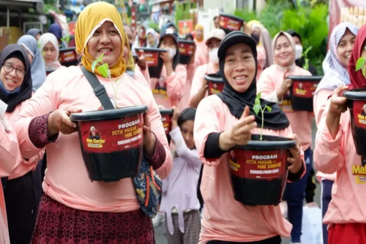 Bagikan Bibit Cabai,...
