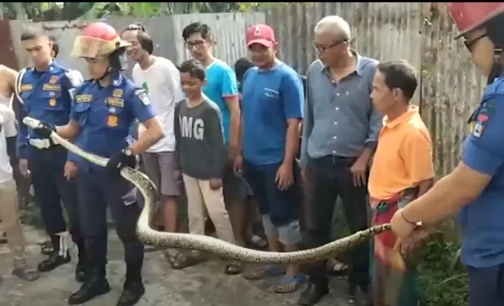 Petugas Damkar Padang...