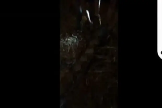 Warga Tangkap Ular Piton...