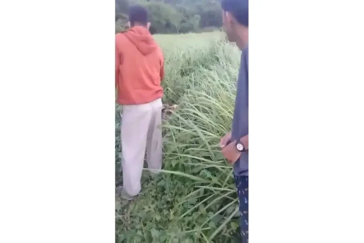 Misteri Gelang Kerangka...