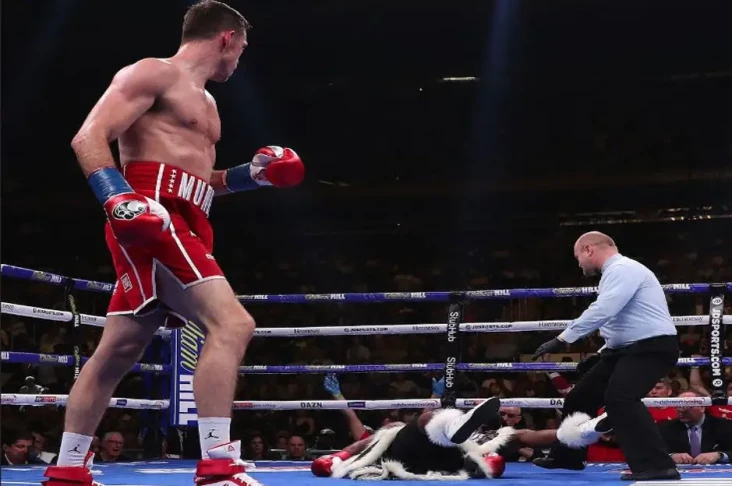 Callum Smith Penantang...