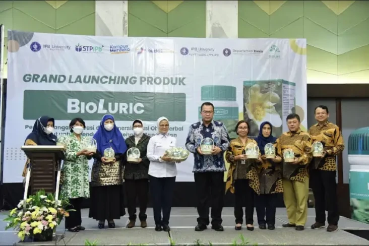 Obat Herbal untuk Asam...