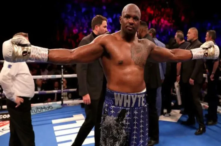 Dillian Whyte Frustrasi...