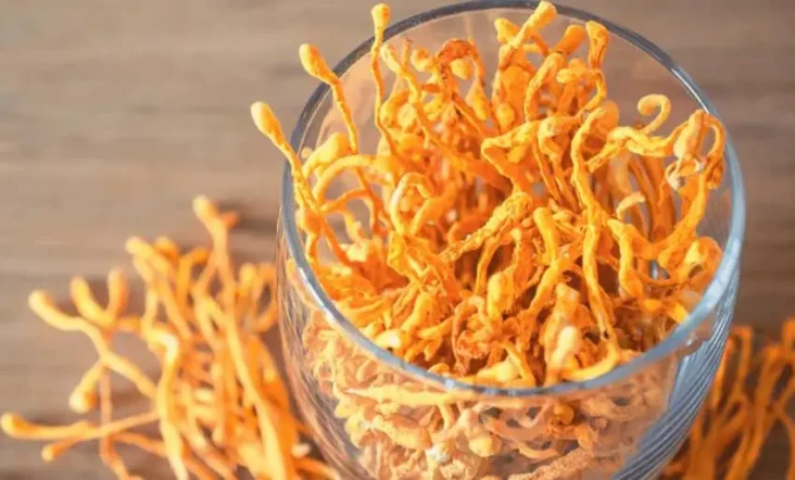 5 Kelebihan Jamur Cordyceps,...