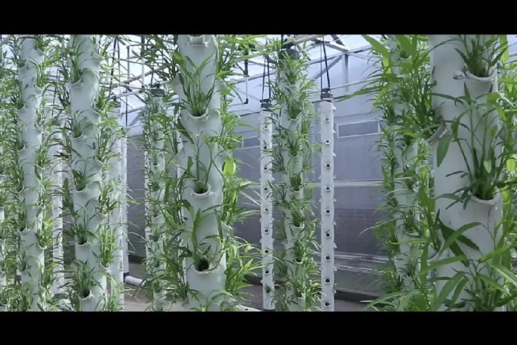 Inovasi Urban Farming...