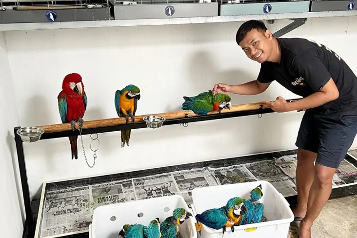 Kisah Penghobi Burung...