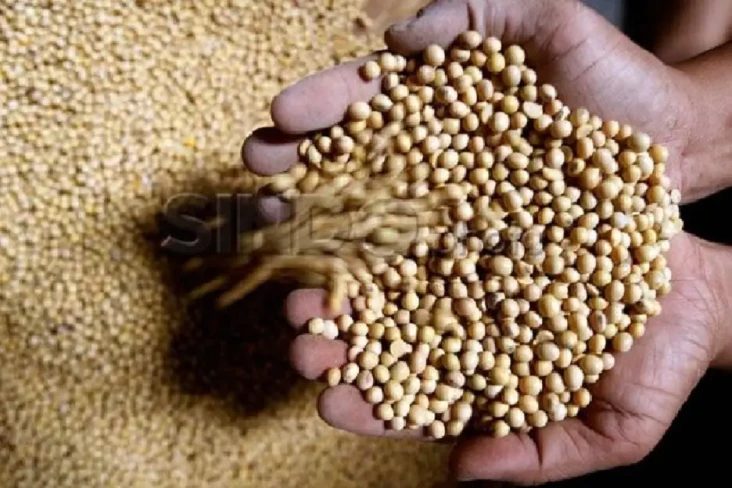 Kedatangan 350.000 Ton...