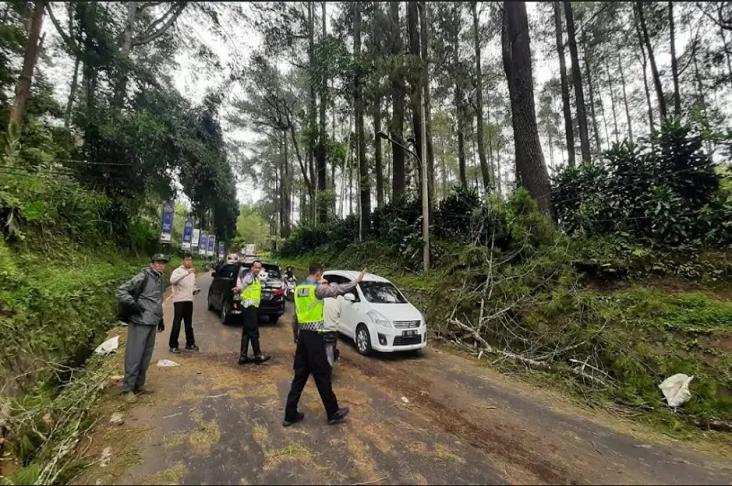 Nahas! Pemotor Asal...