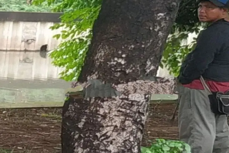 Viral di Medsos, Polisi...