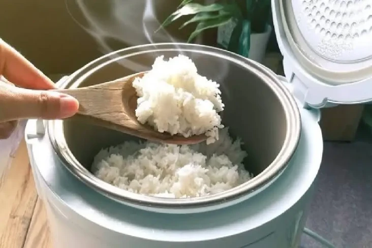 Tujuan Pembagian Rice...