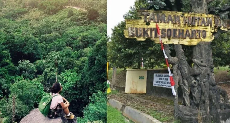 5 Hutan Mistis di Nusantara,...