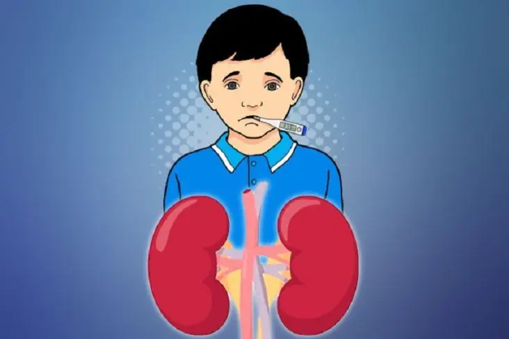 Kasus Gagal Ginjal Akut...