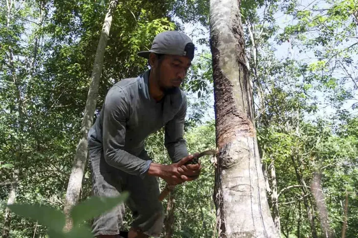 Industri Ban Indonesia...