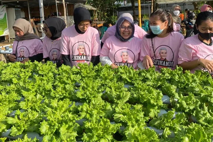 Manfaatkan Lahan Sempit,...