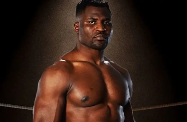 Francis Ngannou Terima...