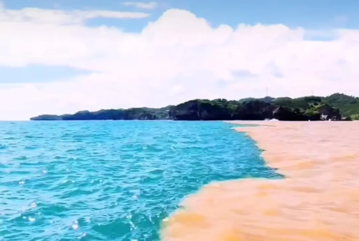Heboh! Perairan Pantai...