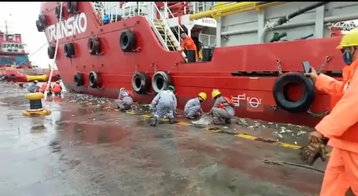 Fenomena Ikan Melompat...